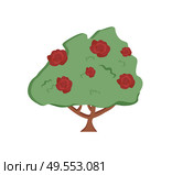 Flowers vector, bush with flowering isolated flora flat style natural blooming, roses or tree with trunk, garden orchard scene, rural area countryside. Tree Growing in Garden, Bushes with Roses Flowers. Стоковая иллюстрация, агентство Ingram Publishing / Фотобанк Лори