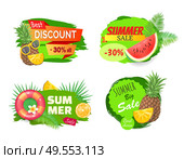 Best discount and summer sales banners set. Pineapple with sunglasses, watermelon fruit and saving ring lifebuoy. Tropical leaves of palm tree vector. Best Discount Summer Sales Vector Illustration. Стоковая иллюстрация, агентство Ingram Publishing / Фотобанк Лори