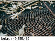 Details of an old metalic industry equipment. Стоковое фото, агентство Ingram Publishing / Фотобанк Лори