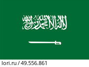 Green flag of saudi arabia with a sword. The correct size, proportion 2:3. Vector Illustration. EPS10. Green flag of saudi arabia with a sword. The correct size, proportion 2:3. Vector Illustration. Стоковая иллюстрация, агентство Ingram Publishing / Фотобанк Лори