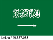 Green flag of saudi arabia with a sword. The correct size, proportion 2:3. Vector Illustration. EPS10. Green flag of saudi arabia with a sword. The correct size, proportion 2:3. Vector Illustration. Стоковая иллюстрация, агентство Ingram Publishing / Фотобанк Лори
