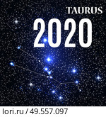 Symbol: Taurus Zodiac Sign with the New Year and Christmas 2020. Vector Illustration. EPS10. Symbol: Taurus Zodiac Sign with the New Year and Christmas 2020. Vector Illustration. Стоковая иллюстрация, агентство Ingram Publishing / Фотобанк Лори