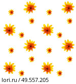 Colorful yellow echinacea on white background. Seamless pattern. Vector illustration. EPS10. Colorful yellow echinacea on white background. Seamless pattern. Vector illustration. Стоковая иллюстрация, агентство Ingram Publishing / Фотобанк Лори