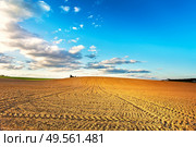 Agricultural landscape, arable crop field after mechanized planting. Linear plowed agriculture on hills. Minsk region, Belarus. Стоковое фото, агентство Ingram Publishing / Фотобанк Лори