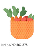 Basket with farmer products isolated carrot and potato, agriculture concept. Vector gardening and farming, shopping on salad, agronomy homegrown food. Basket with Farmer Products Isolated Carrot Potato. Стоковая иллюстрация, агентство Ingram Publishing / Фотобанк Лори