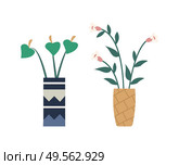 Bouquet made up of lilies vector, vase with flowers, flowering and blooming flat style. Isolated set of floral decoration, house plant with leaves. Calla Lilly Placed in Vase with Ornaments, Bouquet. Стоковая иллюстрация, агентство Ingram Publishing / Фотобанк Лори