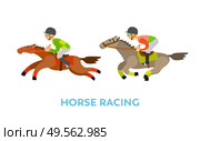 Equine sports vector, riders wearing uniforms and protective helmets, people riding horses isolated men. Equestrian challenge, competition flat style. Horse Racing Sport, People Riding Animals Speed. Стоковая иллюстрация, агентство Ingram Publishing / Фотобанк Лори
