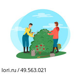 Man and woman tending bushes vector, people cutting flora with special gardening scissors, roses and flowering plant with foliage and frondage isolated. Farming People Man and Woman Cutting Bushes Vector. Стоковая иллюстрация, агентство Ingram Publishing / Фотобанк Лори