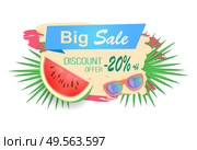 Big sale and discounts reduction of price isolated banner vector. Juicy watermelon with sunglasses and tropical leaves of plant. Reduced cost on goods. Big Sale Discounts Banner Vector Illustration. Стоковая иллюстрация, агентство Ingram Publishing / Фотобанк Лори