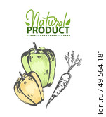 Natural product vector, paprika and carrot with foliage drawing, bell pepper monochrome sketch and logotype of ecologically clean meal, eco veggies. Natural Product, Bell Pepper and Carrot Drawing. Стоковая иллюстрация, агентство Ingram Publishing / Фотобанк Лори