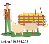 Farmer with sheep vector, male caring for animals flat style. Wooden fence with dried glass straw and hay with tools, instrument hayfork harvesting. Agriculture Man Farming, Sheep Farm Farmer Vector. Стоковая иллюстрация, агентство Ingram Publishing / Фотобанк Лори