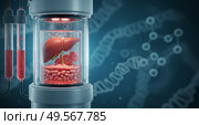 Image featuring a liver held in artificial conditions mimicking bioreactor research, symbolizing innovation in medical science, biotechnology, and genetics. Стоковое AI-изображение, AI-художник Анна Маркина / Фотобанк Лори