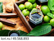 Healing tincture of unripe walnut.Green walnut in herbal medicine.. Unripe walnut tincture. Стоковое фото, агентство Ingram Publishing / Фотобанк Лори