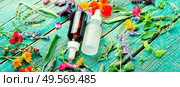 Medical essential oils of flowers and herbs.Herbal essence.Aromatherapy.Natural cosmetic. Bottle with herb essential oil. Стоковое фото, агентство Ingram Publishing / Фотобанк Лори