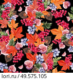 Beautiful autumn watercolor pattern with leaves, blueberries, viburnum berries, physales and figs. Illustration. Beautiful autumn watercolor pattern with leaves, blueberries, viburnum berries, physales and figs. Стоковое фото, агентство Ingram Publishing / Фотобанк Лори