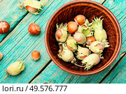 Unpeeled hazelnuts in a bowl on a wooden table. Hazelnuts or filbert. Стоковое фото, агентство Ingram Publishing / Фотобанк Лори