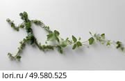 Green leaves are artistically arranged to depict a figure in motion. Зеленые листья художественно расположены, чтобы изобразить фигуру в движении. Стоковое AI-изображение, AI-художник Katsiaryna Repich / Фотобанк Лори