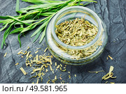 Raw and dry tarragon spice.Tarragon or Artemisia dracunculus. Fresh and dry tarragon. Стоковое фото, агентство Ingram Publishing / Фотобанк Лори