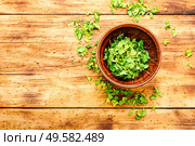 Condiment or spice made from dried green parsley.Copy space. Dried parsley spice. Стоковое фото, агентство Ingram Publishing / Фотобанк Лори