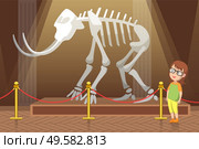 Boy in natural history museum. Exhibition with skeleton of mammoth with big white tusks and bones. Kid in glasses amazed by prehistoric animal. Child alone in hall. Flat cartoon vector illustration. Exhibition in Natural History Museum with Skeleton. Стоковая иллюстрация, агентство Ingram Publishing / Фотобанк Лори