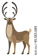 Deer with big horns, isolated wild animal. Doe with furry coat living in forest. Stag standing still. Brown woodland creature, fauna of woods. Elk or moose mammal design. Vector in flat style. Deer Wild Animal with Big Horns, Stag Wildlife. Стоковая иллюстрация, агентство Ingram Publishing / Фотобанк Лори