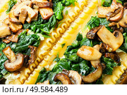 Lasagne with mushrooms,champignons,cheese and spinach. Traditional Italian food.. Close up of traditional lasagna. Стоковое фото, агентство Ingram Publishing / Фотобанк Лори