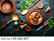 Bowl of appetizing healthy goose or duck soup.Chicken soup. Diet goose soup. Стоковое фото, агентство Ingram Publishing / Фотобанк Лори