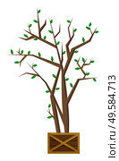 Sapling with fresh green leaves in pot. Plant that grown indoor in potting soil. Isolated object for house and office decoration. Tree with sprouts in interior. Vector illustration of potted tree. Tree Plant in Pot with Fresh Sprouts, Houseplant. Стоковая иллюстрация, агентство Ingram Publishing / Фотобанк Лори