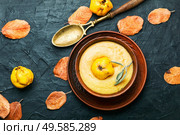 Quince puree or cream soup.Fruit autumn soup. Quince cold dessert soup. Стоковое фото, агентство Ingram Publishing / Фотобанк Лори