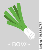 Bow fresh and organic vegetable. Isolated icon of uncooked onion. Ingredient for dishes and meals. Nutritious product boosting immune system and helping with digestion processes. Vector in flat. Bow Uncooked Vegetable, Green Onion Veggie Leek. Стоковая иллюстрация, агентство Ingram Publishing / Фотобанк Лори