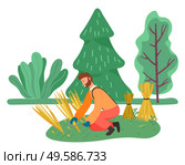 Farming male character working on field with hands. Harvesting season on farm, man cutting wheat wearing protective gloves. Farmer using tools to cope with dry grass. Vector in flat style illustration. Farmer Harvesting Wheat on Plantation, Farming Man. Стоковая иллюстрация, агентство Ingram Publishing / Фотобанк Лори