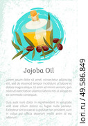 Glassware golden liquid, jojoba oil. Branch with green leaves and brown drupes near glass bottle, vessel. Information about aromatic product used in dermatology and cosmetology. Vector illustration. Information About Jojoba Oil in Vessel, Liquid. Стоковая иллюстрация, агентство Ingram Publishing / Фотобанк Лори