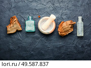 Mortar with pestle and tinder fungus.Tinder polypore in herbal medicine.Medicinal plants.. Tinder fungus in herbal medicine. Стоковое фото, агентство Ingram Publishing / Фотобанк Лори
