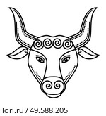 Second astrological sign, taurus associated with constellation. Zodiac represented by symbol of bull or buffalo. Outline drawing of animal on white background. Vector illustration of asterism in flat. Zodiac Taurus Sign, Symbol of Bull, Outline Animal. Стоковая иллюстрация, агентство Ingram Publishing / Фотобанк Лори