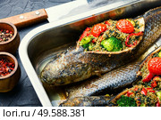 Delicious roasted fish stuffed with broccoli,quinoa and tomato. Baked fish stuffed with vegetables. Стоковое фото, агентство Ingram Publishing / Фотобанк Лори
