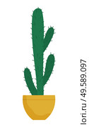 Evergreen plant with prickly thorns in yellow pot. Cactus that grown indoor in potting soil. Object of decor isolated on white cacti. Vector illustration of tropical houseplant in flat style. Big Cactus, Plant in Pot with Thorns, Houseplant. Стоковая иллюстрация, агентство Ingram Publishing / Фотобанк Лори