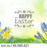 Spring bluebells and daffodils in green garden with happy Easter greeting. Spring bluebells and daffodils. Стоковое фото, агентство Ingram Publishing / Фотобанк Лори
