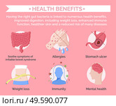 Health benefits info banner. Soothe symptoms of irritable bowels syndrome, allergies and stomach ulcer. Weight loss and immunity, mental health. Set of illnesses covered by insurance, vector. Health Benefits Infographics Set with Information. Стоковая иллюстрация, агентство Ingram Publishing / Фотобанк Лори
