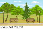 Public park at summer. Green nature, wooden benches and street lights, trees, fir tree, sky at background. Summer or spring with green plants. City park, relax place for visitors. Recreation outdoors. Public park at summer, green nature, wooden benches, street lights, trees, fir tree at background. Стоковая иллюстрация, агентство Ingram Publishing / Фотобанк Лори