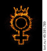 Fire female gender sign with queen crown burning in flames, isolated on black background with bright sparkles. Sex rights, girl power, leadership concept. 8 March International Women’s Day art banner. Стоковое фото, агентство Ingram Publishing / Фотобанк Лори
