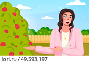 Young smiling brunette presenting rose bush with flowers. Happy woman posing for camera pointing at bush. Photo of traveler near memorable place. Cute cheerful female posing for photo in the garden. Young smiling brunette presenting rose bush, happy woman posing for camera, traveler photo. Стоковая иллюстрация, агентство Ingram Publishing / Фотобанк Лори