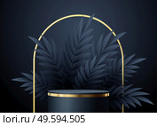 Minimal black scene with geometric shapes and palm leaves. Cylindrical gold and black podium on a black background. 3D stage for displaying a cosmetic product, showcase. Minimal black scene with geometric shapes and palm leaves. Cylindrical gold and black podium on a black background. 3D stage for displaying a cosmetic product. Стоковая иллюстрация, агентство Ingram Publishing / Фотобанк Лори