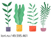 Variety of potted plants. Purple, yellow, red, lilac patterned flower pots. Ficus, dollar tree, chlorophytum, geranium, sansevieria. Plants for the office antistress. Arrangement and gardening. Set of lush foliage succulent plants, office decor, antistress. Office decorative potted plant. Стоковая иллюстрация, агентство Ingram Publishing / Фотобанк Лори