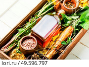Set of fresh and dry healing herbs and medicinal plants.Natural herbal medicine. Bottle of tincture of medicinal herbs. Стоковое фото, агентство Ingram Publishing / Фотобанк Лори