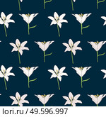 Hand drawn Lilly flower seamless pattern background. Vector Illustration EPS10. Hand drawn Lilly flower seamless pattern background. Vector Illustration. Стоковая иллюстрация, агентство Ingram Publishing / Фотобанк Лори