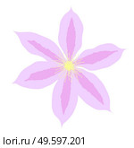 Beautiful clematis flower on white background. Vector Illustration EPS10. Beautiful clematis flower on white background. Vector Illustration. Стоковая иллюстрация, агентство Ingram Publishing / Фотобанк Лори