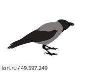Raven image isolated on white background. Vector Illustration. EPS10. Raven image isolated on white background. Vector Illustration. Стоковая иллюстрация, агентство Ingram Publishing / Фотобанк Лори