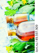 Healing tincture of celandine in a bottle.Alternative medicine.Medicinal plant celandine.. Medicinal tincture of celandine,herbal medicine. Стоковое фото, агентство Ingram Publishing / Фотобанк Лори