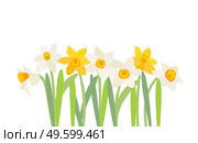 Natural background with daffodil flower and copy space. Vector Illustration. Natural background with daffodil flower and copy space. Vector Illustration EPS10. Стоковая иллюстрация, агентство Ingram Publishing / Фотобанк Лори