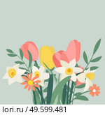 Bouquet of spring flowers tulips and daffodils. Vector Illustration. Bouquet of spring flowers tulips and daffodils. Vector Illustration. EPS10. Стоковая иллюстрация, агентство Ingram Publishing / Фотобанк Лори